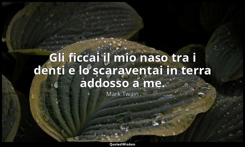 Gli ficcai il mio naso tra i denti e lo scaraventai in terra addosso a me. — Mark Twain
