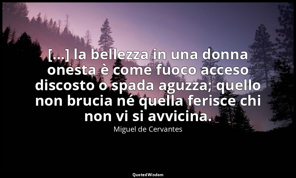 [...] la bellezza in una donna onesta è come fuoco acceso discosto o spada aguzz — Miguel de Cervantes
