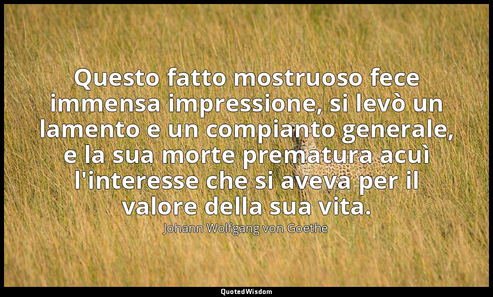 Questo fatto mostruoso fece immensa impressione, si levò un lamento e un compian — Johann Wolfgang von Goethe