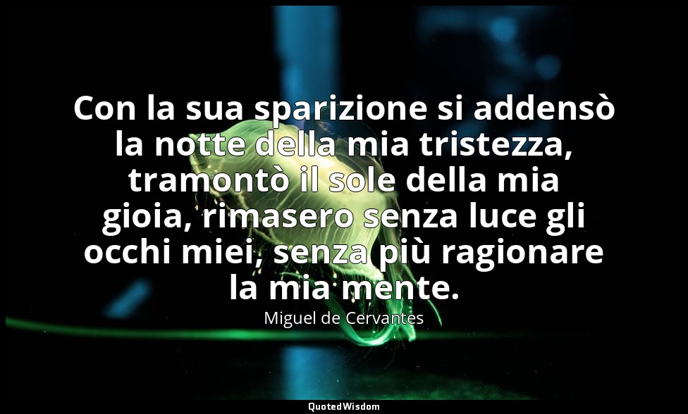 Con la sua sparizione si addensò la notte della mia tristezza, tramontò il sole  — Miguel de Cervantes