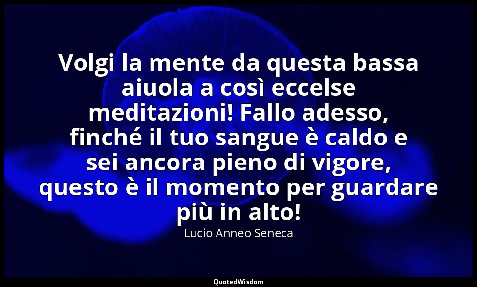 Volgi la mente da questa bassa aiuola a così eccelse meditazioni! Fallo adesso,  — Lucio Anneo Seneca
