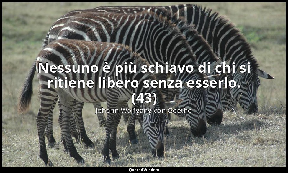 Nessuno è più schiavo di chi si ritiene libero senza esserlo. (43) — Johann Wolfgang von Goethe
