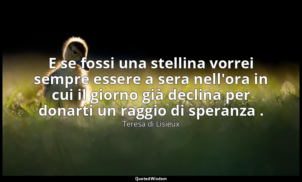 E se fossi una stellina vorrei sempre essere a sera nell'ora in cui il giorno gi — Teresa di Lisieux