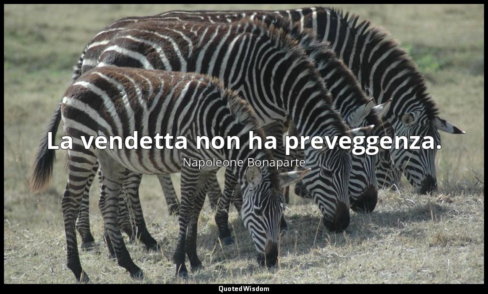 La vendetta non ha preveggenza. — Napoleone Bonaparte