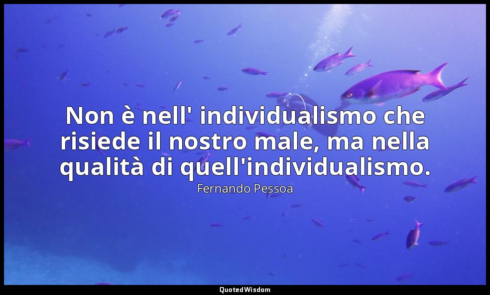 Non è nell' individualismo che risiede il nostro male, ma nella qualità di quell — Fernando Pessoa