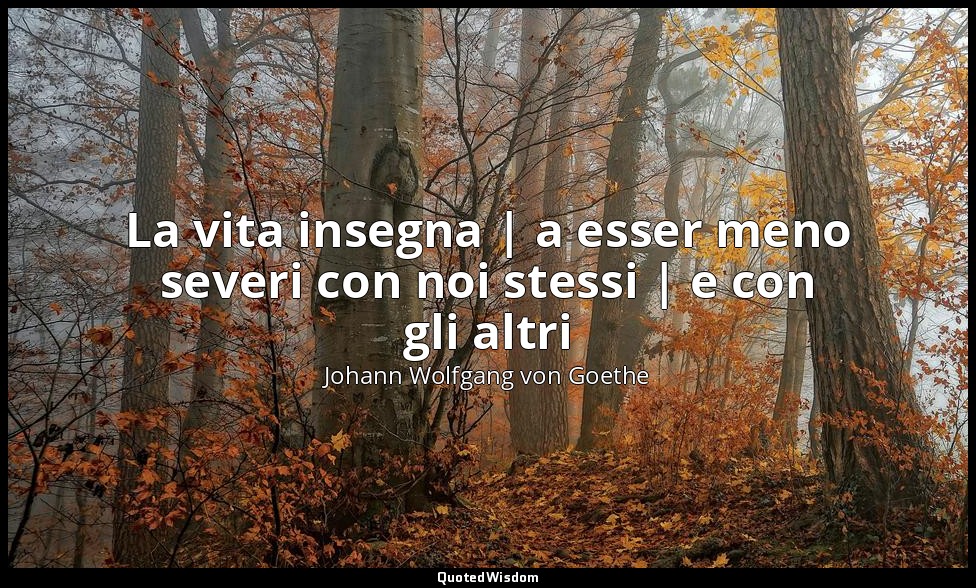 La vita insegna | a esser meno severi con noi stessi | e con gli altri — Johann Wolfgang von Goethe
