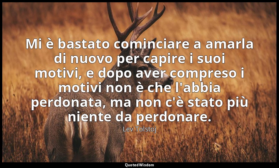 Mi è bastato cominciare a amarla di nuovo per capire i suoi motivi, e dopo aver  — Lev Tolstoj
