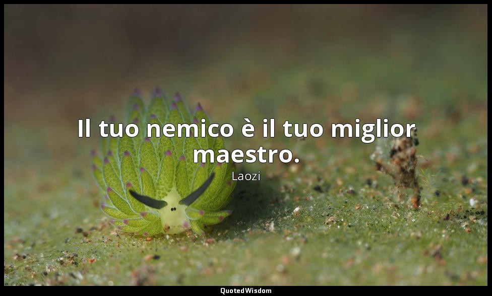 Il tuo nemico è il tuo miglior maestro. — Laozi