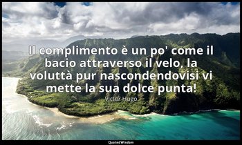 Il complimento è un po' come il bacio attraverso il velo, la voluttà pur nascond — Victor Hugo