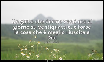 Un gatto che dorme venti ore al giorno su ventiquattro, è forse la cosa che è me — Jules Renard