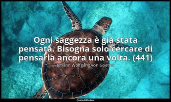 Ogni saggezza è già stata pensata. Bisogna solo cercare di pensarla ancora una v — Johann Wolfgang von Goethe
