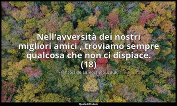 Nell'avversità dei nostri migliori amici , troviamo sempre qualcosa che non ci d — François de La Rochefoucauld