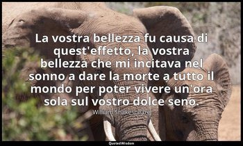 La vostra bellezza fu causa di quest'effetto, la vostra bellezza che mi incitava — William Shakespeare
