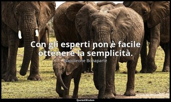 Con gli esperti non è facile ottenere la semplicità. — Napoleone Bonaparte