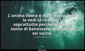 L'anima libera è rara, ma quando la vedi la riconosci: soprattutto perché provi  — Charles Bukowski