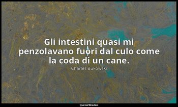 Gli intestini quasi mi penzolavano fuori dal culo come la coda di un cane. — Charles Bukowski