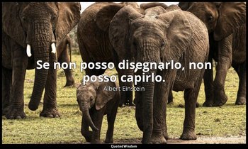 Se non posso disegnarlo, non posso capirlo. — Albert Einstein