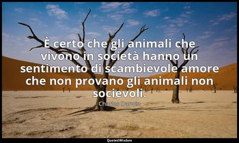 È certo che gli animali che vivono in società hanno un sentimento di scambievole — Charles Darwin