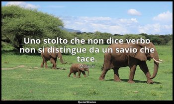 Uno stolto che non dice verbo non si distingue da un savio che tace. — Molière