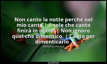 Non canto la notte perché nel mio canto | il sole che canto finirà in notte. | N — Fernando Pessoa