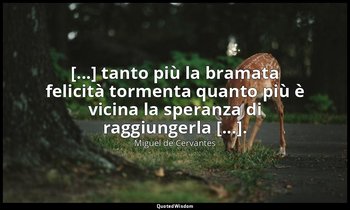 [...] tanto più la bramata felicità tormenta quanto più è vicina la speranza di  — Miguel de Cervantes