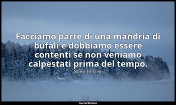 Facciamo parte di una mandria di bufali e dobbiamo essere contenti se non veniam — Albert Einstein