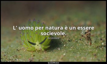 L' uomo per natura è un essere socievole. — Aristotele
