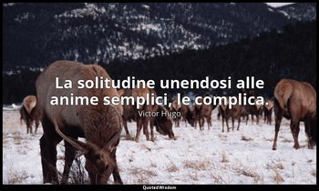 La solitudine unendosi alle anime semplici, le complica. — Victor Hugo
