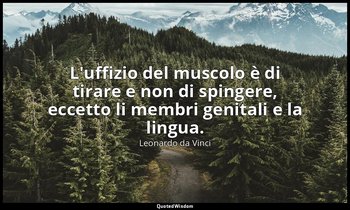 L'uffizio del muscolo è di tirare e non di spingere, eccetto li membri genitali  — Leonardo da Vinci