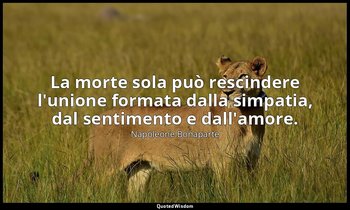 La morte sola può rescindere l'unione formata dalla simpatia, dal sentimento e d — Napoleone Bonaparte