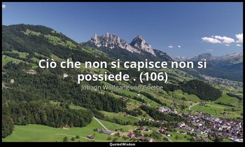 Ciò che non si capisce non si possiede . (106) — Johann Wolfgang von Goethe