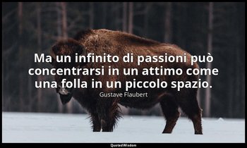 Ma un infinito di passioni può concentrarsi in un attimo come una folla in un pi — Gustave Flaubert