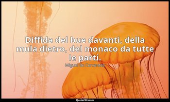 Diffida del bue davanti, della mula dietro, del monaco da tutte le parti. — Miguel de Cervantes