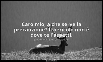 «Caro mio, a che serve la precauzione? Il pericolo non è dove te l'aspetti.» — Johann Wolfgang von Goethe