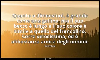 Quanto a dimensioni, è grande come una gallina, ma il suo becco è lungo e il suo — Aristotele