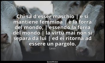 Chi sa d'esser maschio | e si mantiene femmina | è la forra del mondo, | essendo — Laozi