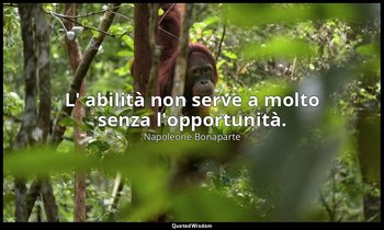 L' abilità non serve a molto senza l'opportunità. — Napoleone Bonaparte