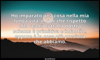 Ho imparato una cosa nella mia lunga vita, e cioè che rispetto alla realtà tutta — Albert Einstein