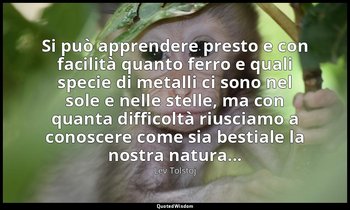 Si può apprendere presto e con facilità quanto ferro e quali specie di metalli c — Lev Tolstoj