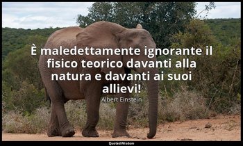 È maledettamente ignorante il fisico teorico davanti alla natura e davanti ai su — Albert Einstein