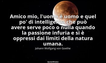 Amico mio, l'uomo è uomo e quel po' di intelligenza che può avere serve poco o n — Johann Wolfgang von Goethe