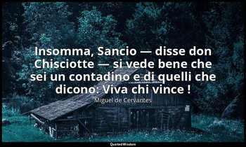 Insomma, Sancio — disse don Chisciotte — si vede bene che sei un contadino e di  — Miguel de Cervantes