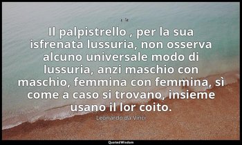 Il palpistrello , per la sua isfrenata lussuria, non osserva alcuno universale m — Leonardo da Vinci