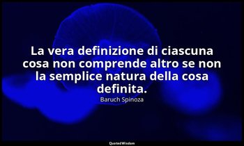 La vera definizione di ciascuna cosa non comprende altro se non la semplice natu — Baruch Spinoza