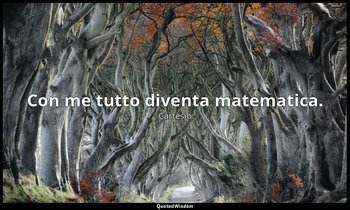 Con me tutto diventa matematica. — Cartesio