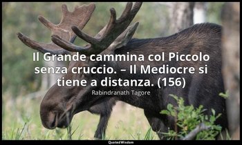 Il Grande cammina col Piccolo senza cruccio. – Il Mediocre si tiene a distanza.  — Rabindranath Tagore