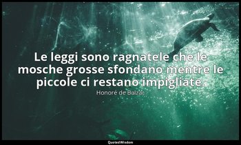 Le leggi sono ragnatele che le mosche grosse sfondano mentre le piccole ci resta — Honoré de Balzac
