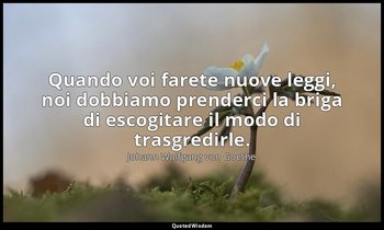 Quando voi farete nuove leggi, noi dobbiamo prenderci la briga di escogitare il  — Johann Wolfgang von Goethe