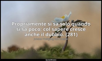 Propriamente si sa solo quando si sa poco; col sapere cresce anche il dubbio. (2 — Johann Wolfgang von Goethe