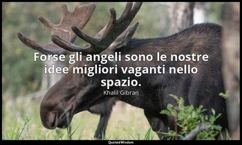 Forse gli angeli sono le nostre idee migliori vaganti nello spazio. — Khalil Gibran